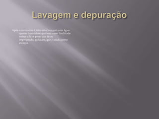Após o cozimento é feito uma lavagem com água
     quente da celulose que tem como finalidade
     retirar o licor preto que ficou
     impregnado, poluidor, que é usado como
     energia.
 