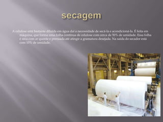 A celulose está bastante diluída em água daí a necessidade de secá-la e acondicioná-la. É feita em
     máquina, que forma uma folha contínua de celulose com cerca de 50% de umidade. Essa folha
     é seca com ar quente e prensada até atingir a gramatura desejada. Na saída do secador está
     com 10% de umidade.
 