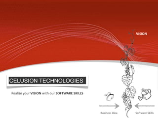 CELUSION TECHNOLOGIES VISION Realize your VISION with our SOFTWARE SKILLS Business Idea Software Skills 