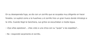 En su desesperada fuga, se dio con un zorrillo que se ocupaba muy diligente en hacer
forados. Le suplicó como a la huachwa y el zorrillo hizo un gran hueco donde introdujo a
la niña. Cuando llegó la Ganchana, sus gritos se escuchaban a media legua.
- ¡Oye añas apestoso!… ¿Has visto a una chica con su “quipe” a las espaldas?…
- No –respondió secamente el zorrillo.

 