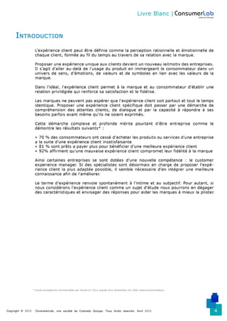 Comprendre et piloter l'expérience client - Consumerlab - Avril 2013