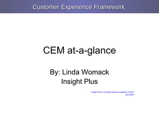 CEM at-a-glance By: Linda Womack Insight Plus Insight Plus is a wholly owned subsidiary of AIG Jan-2009 Customer Experience Framework   