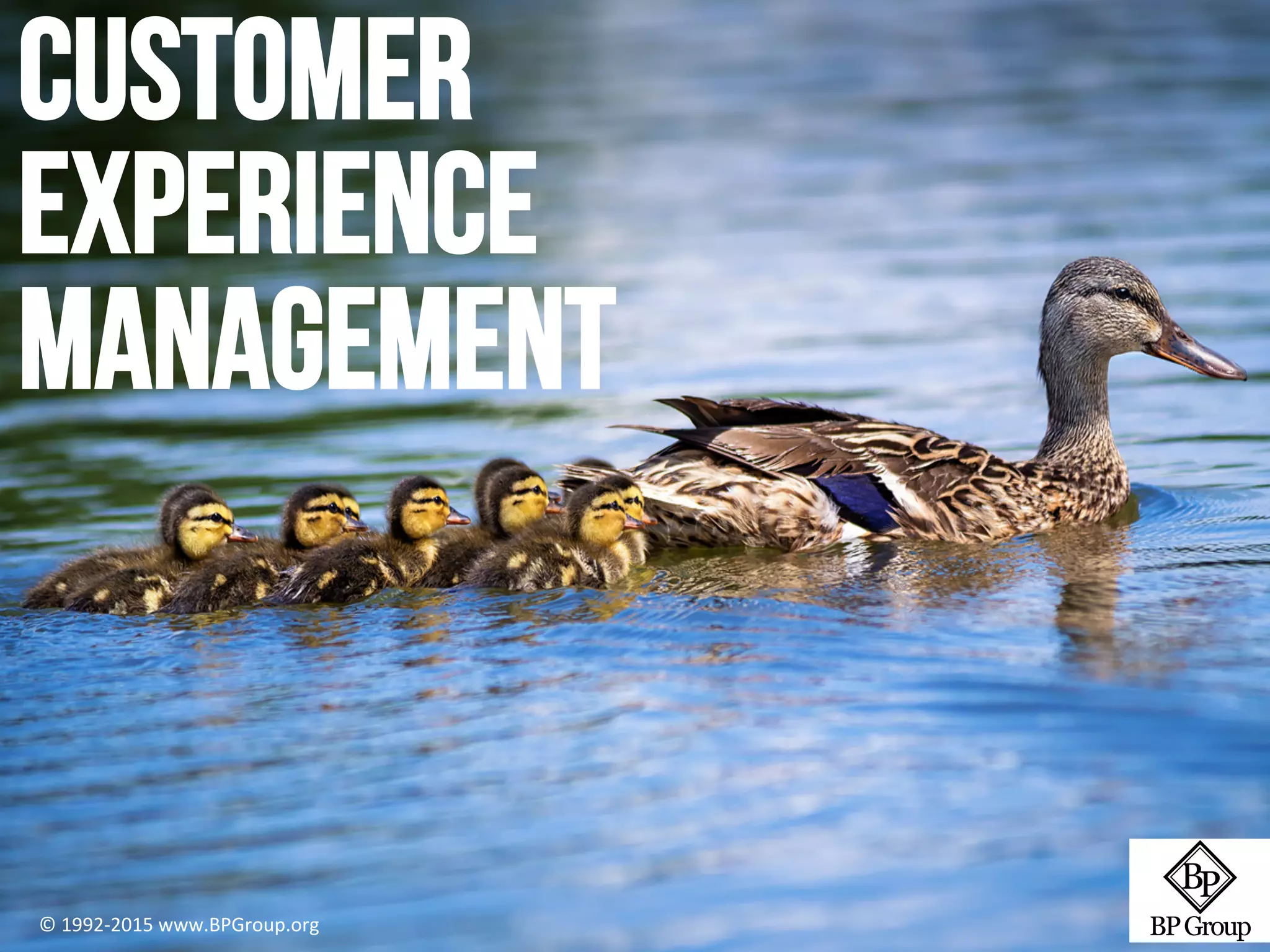 Customer
Experience
Management
A single view of the customer
© 1992-2015 www.BPGroup.org