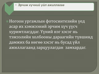 • Эрчим хүчний үйл ажиллагаа
Ногоон ургамлын фотосинтезийн үед
асар их хэмжээний эрчим хүч үүсч
хуримтлагддаг. Үүний нэг хэсэг нь
тэжээлийн холбооны дараагийн түвшинд
дамжих ба нөгөө хэсэг нь бусад үйл
ажиллагаанд зарцуулагдан замхардаг.
 