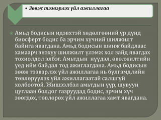 • Зөөж тээвэрлэх үйл ажиллагаа
 Амьд бодисын идэвхтэй хөдөлгөөний үр дүнд
биосферт бодис ба эрчим хүчний шилжилт
байнга явагдана. Амьд бодисын шинж байдлаас
хамаарч энэхүү шилжилт үлэмж хол зайд явагдах
тохиолдол элбэг. Амьтдын нүүдэл, өвөлжилтийн
үед ийм байдал тод ажиглагдана. Амьд бодисын
зөөж тээвэрлэх үйл ажиллагаа нь бүлгэмдлийн
төвлөрүүлэх үйл ажиллагаатай салшгүй
холбоотой. Жишээлбэл амьтдын үүр, шувуун
цуглаан болдог газруудад бодис, эрчим хүч
зөөгдөх, төвлөрөх үйл ажиллагаа хамт явагдана.
 