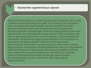 Анхдагч бүтээгдэхүүн нь нийт ба цэвэр бүтээгдэхүүн гэсэн хоёр
түвшинд хуваагдана.Анхдагч нийт бүтээгдэхүүн нь ургамлын
нэгж хугацаанд фотосинтезийн тухайн үед бий болох бүх
органик бодисын нийт жин бөгөөд амьсгалд зарцуулсан
бүтээгдэхүүнийг оролцуулдаг. Амьсгалд зарцуулагдсанаас илүү
гарсан нийт бүтээгдэхүүнийг цэвэр анхдагч бүтээгдэхүүн гэнэ.
Энэ нь ургамлын ургалтын хэмжээ бөгөөд уг бүтээгдэхүүнийг
консумент, редуцентүүд хэрэглэдэг.Хоёрдогч бүтээгдэхүүн нь
консумент, редуцентүүдийг бий болгох бөгөөд бэлэн
бүтээгдэхүүн хэрэглэдэг тул ангилдаггүй, тэжээлийн түвшин
бүрд тусад нь тооцоолдог.Экосистемийн бүх амьд хэсгүүд нийлж
ерөнхий биомассыг бүрдүүлдэг. Биомассыг хуурай ба нойтон
жин, энергийн нэгжээр илэрхийлдэг. Биомасс үүсгэхэд бүх
энерги зарцуулагдахгүй ашиглагдаагүй, харин анхдагч
бүтээгдэхүүнийг үүсгэж, экосистем бүрт өөр өөрөөр
зарцуулагдана.
• Биологийн хуримтлалын зарчим
 