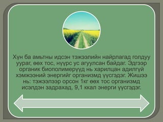 Хүн ба амьтны идсэн тэжээлийн найрлагад голдуу
уураг, өөх тос, нүүрс ус агуулсан байдаг. Эдгээр
органик биополимерүүд нь харилцан адилгүй
хэмжээний энергийг организмд үүсгэдэг. Жишээ
нь: тэжээлээр орсон 1кг өөх тос организмд
исэлдэн задрахад, 9,1 ккал энерги үүсгэдэг.
 