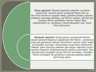 Усны эргэлт: Манай гаригийн хамгийн түгээмэл
тархалтай, онцгой шинж чанартай бодис бол ус
юм.Усны ихэнх нь хуурай газар, далайн уснаас ууршин,
агаарын массаар зөөгдөн, уур болон хувирч, эргээд хур
тунадас болон дэлбэрэн гарсан гүйцэт биш
(ювенилийн) ус, ургамлын транспирацийн чийг зэрэг
бүгд оролцоно.
Хүхрийн эргэлт: Хүхэр уулын чулуулгийн болон
зарим органик бодисын задралаас бий болж , ургамлын
үндсээр ургамалд нэвтэрч метионин, цистин зэрэг амин
хүчлүүдийг үүсгэдэг. Организмд хүхэр бага хэмжээтэй
байдаг, хоол хүнсээр дамжин орж ирдэг, хөрсөнд үхсэн
органик бодисыг микроорганизм задалж шингээдэг. Энэ
процессоор хүхэрийн хүчил болтол ангижирч, сульфат
болон исэлддэг ба ургамлын үндсээр дамжин дахин
эргэлтэнд орно.
 