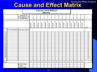 C & E Matrix.ppt
