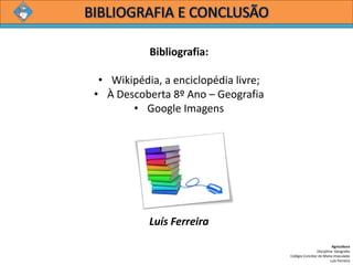 Bibliografia:
• Wikipédia, a enciclopédia livre;
• À Descoberta 8º Ano – Geografia
• Google Imagens
Luís Ferreira
Agricultura
Disciplina: Geografia
Colégio Conciliar de Maria Imaculada
Luís Ferreira
 
