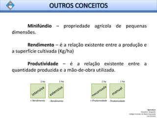 Minifúndio – propriedade agrícola de pequenas
dimensões.
Rendimento – é a relação existente entre a produção e
a superfície cultivada (Kg/ha)
Produtividade – é a relação existente entre a
quantidade produzida e a mão-de-obra utilizada.
Agricultura
Disciplina: Geografia
Colégio Conciliar de Maria Imaculada
Luís Ferreira
1 ha1 ha
+ Rendimento - Rendimento
1 ha1 ha
+ Produtividade - Produtividade
 