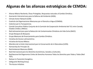Algunas de las alianzas estratégicas de CEMDA:
• Alianza México Resiliente, Áreas Protegidas, Respuestas naturales al Cambio Climático.
• Asociación Interamericana para la Defensa del Ambiente (AIDA).
• Climate Action Network (CAN)
• Coalición de Organizaciones Mexicanas por el Derecho al Agua (COMDA).
• Colectivo por la Transparencia.
• Comité Consultivo Público Conjunto de la Comisión de Cooperación Ambiental del TLC entre Canadá,
Estados Unidos y México.
• Red Latinoamericana para la Reducción de Contaminantes Climáticos de Vida Corta (RACC).
• Grupo Bosques (G-Bosques).
• Grupo Mexicano de financiamiento para Cambio Climático.
• Iniciativa de Acceso Latinoamérica.
• Iniciativa de Acceso México.
• Miembro de la Unión Internacional para la Conservación de la Naturaleza (UICN).
• Partnership for Principle 10.
• Red Ambiental Mexicana (RAM).
• Red Internacional para los Derechos Económicos, Sociales y Culturales.
• Red Nacional de Organismos Civiles de Derechos Humanos Todos los Derechos para Todas y Todos (Red
TDT).
• Red por la Transición Energética.
• Safeguards Working Group.
• The Access Initiative.
 