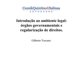 Introdução ao ambiente legal:
órgãos governamentais e
regularização de direitos.
Gilberto Toscano
 