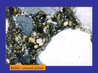 Cement mineralogy and hydration of cement minerals | PPTX
