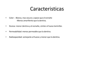 Caracteristicas
• Color : -Blanco, mas oscuro y opaco que el esmalte
-Menos amarillento que la dentina.
• Dureza: menor dentina y el esmalte, similar al hueso laminillar.
• Permeabilidad: menos permeable que la dentina.
• Radioopacidad: semejante al hueso y menor que la dentina.
 