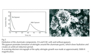 Fig 5
Hydration of the aluminate components, CA and CAF, with and without gypsum.
The gypsum promotes formation of ettringite around the aluminate grains, which slows hydration and
creates an artificial induction period.
A scanning electron micrograph of the spiky ettringite growth was made at approximately 5000-X
magnification. 13
 