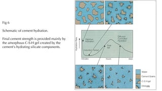 Fig 6
Schematic of cement hydration.
Final cement strength is provided mainly by
the amorphous C-S-H gel created by the
cement's hydrating silicate components.
14
 