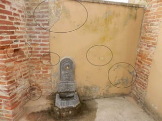 Cementerio 4
