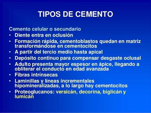 CEMENTO DENTAL