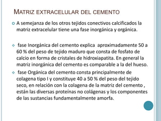 MATRIZ EXTRACELULAR DEL CEMENTO
   A semejanza de los otros tejidos conectivos calcificados la
    matriz extracelular tiene una fase inorgánica y orgánica.

  fase Inorgánica del cemento explica aproximadamente 50 a
  60 % del peso de tejido maduro que consta de fosfato de
  calcio en forma de cristales de hidroxiapatita. En general la
  matriz inorgánica del cemento es comparable a la del hueso.
 fase Orgánica del cemento consta principalmente de
  colagena tipo I y constituye 40 a 50 % del peso del tejido
  seco, en relación con la colagena de la matriz del cemento ,
  están las diversas proteínas no colágenas y los componentes
  de las sustancias fundamentalmente amorfa.
 