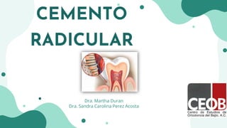 CEMENTO
RADICULAR
Dra. Martha Duran
Dra. Sandra Carolina Perez Acosta
 