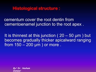 Histological structure :

cementum cover the root dentin from
cementoenamel junction to the root apex .

It is thinnest at this junction ( 20 – 50 μm ) but
becomes gradually thicker apicalward ranging
from 150 – 200 μm ) or more .




    By/ Dr. Hesham
    Dameer
 