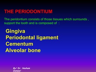 THE PERIODONTIUM
The peridontium consists of those tissues which surrounds ,
support the tooth and is composed of :

Gingiva
Periodontal ligament
Cementum
Alveolar bone


      By/ Dr. Hesham
      Dameer
 
