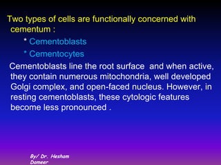 Two types of cells are functionally concerned with
 cementum :
    * Cementoblasts
    * Cementocytes
Cementoblasts line the root surface and when active,
 they contain numerous mitochondria, well developed
 Golgi complex, and open-faced nucleus. However, in
 resting cementoblasts, these cytologic features
 become less pronounced .




     By/ Dr. Hesham
     Dameer
 