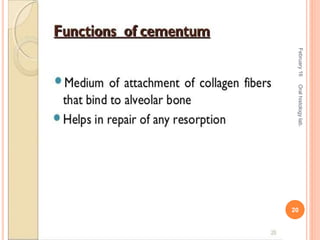 February16
20
Oralhistologylab.
 