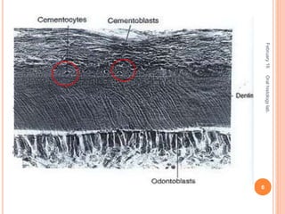 February16
6
Oralhistologylab.
 
