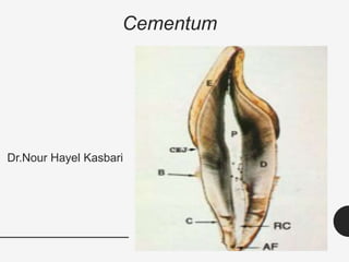 Oral Histology - Cementum | PPT