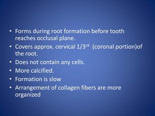 • Forms during root formation before tooth
reaches occlusal plane.
• Covers approx. cervical 1/3rd (coronal portion)of
the root.
• Does not contain any cells.
• More calcified.
• Formation is slow
• Arrangement of collagen fibers are more
organized
 