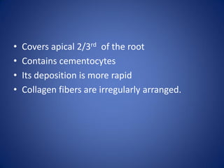 • Covers apical 2/3rd of the root
• Contains cementocytes
• Its deposition is more rapid
• Collagen fibers are irregularly arranged.
 