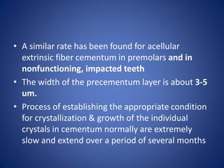 • A similar rate has been found for acellular
extrinsic fiber cementum in premolars and in
nonfunctioning, impacted teeth
• The width of the precementum layer is about 3-5
um.
• Process of establishing the appropriate condition
for crystallization & growth of the individual
crystals in cementum normally are extremely
slow and extend over a period of several months
 
