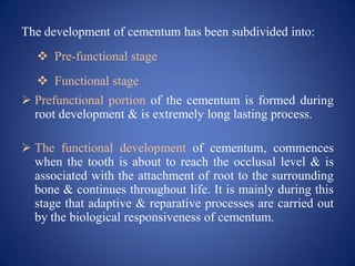 The development of cementum has been subdivided into:
 Pre-functional stage
 Functional stage
 Prefunctional portion of the cementum is formed during
root development & is extremely long lasting process.
 The functional development of cementum, commences
when the tooth is about to reach the occlusal level & is
associated with the attachment of root to the surrounding
bone & continues throughout life. It is mainly during this
stage that adaptive & reparative processes are carried out
by the biological responsiveness of cementum.
 