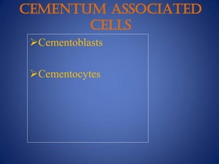 CEMENTUM ASSOCIATED
CELLS
Cementoblasts
Cementocytes
 