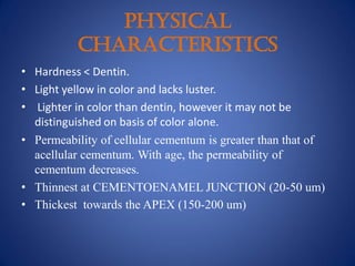 PHYSICAL
CHARACTERISTICS
• Hardness < Dentin.
• Light yellow in color and lacks luster.
• Lighter in color than dentin, however it may not be
distinguished on basis of color alone.
• Permeability of cellular cementum is greater than that of
acellular cementum. With age, the permeability of
cementum decreases.
• Thinnest at CEMENTOENAMEL JUNCTION (20-50 um)
• Thickest towards the APEX (150-200 um)
 