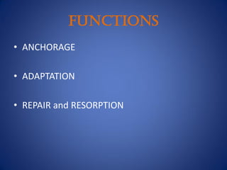 FUNCTIONS
• ANCHORAGE
• ADAPTATION
• REPAIR and RESORPTION
 