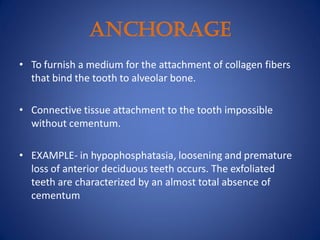 ANCHORAGE
• To furnish a medium for the attachment of collagen fibers
that bind the tooth to alveolar bone.
• Connective tissue attachment to the tooth impossible
without cementum.
• EXAMPLE- in hypophosphatasia, loosening and premature
loss of anterior deciduous teeth occurs. The exfoliated
teeth are characterized by an almost total absence of
cementum
 