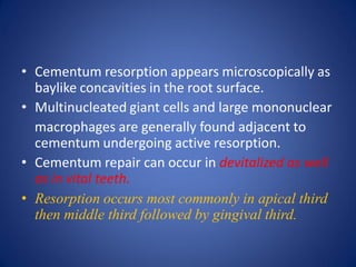 • Cementum resorption appears microscopically as
baylike concavities in the root surface.
• Multinucleated giant cells and large mononuclear
macrophages are generally found adjacent to
cementum undergoing active resorption.
• Cementum repair can occur in devitalized as well
as in vital teeth.
• Resorption occurs most commonly in apical third
then middle third followed by gingival third.
 