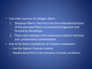 • Two main sources of collagen fibers
1. Sharpeys fibers ( Extrinsic) are the embedded portion
of the principal fibers of periodontal ligament and
formed by fibroblasts.
2. Fibers that belong to the cementum matrix ( intrinsic)
and produced by cementoblast.
• Due to its lower crystallinity of mineral component :
– has the highest Flouride content
– Readily decalcifies in the presence of acidic conditions.
 