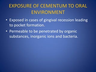 EXPOSURE OF CEMENTUM TO ORAL
ENVIRONMENT
• Exposed in cases of gingival recession leading
to pocket formation.
• Permeable to be penetrated by organic
substances, inorganic ions and bacteria.
 