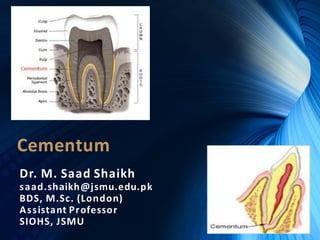 Cementum
Dr. M. Saad Shaikh
saad.shaikh@jsmu.edu.pk
BDS, M.Sc. (London)
Assistant Professor
SIOHS, JSMU
Dr.M.SaadShaikh
 
