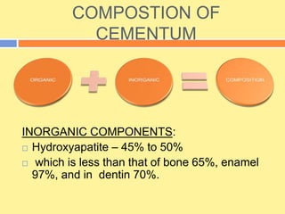 COMPOSTION OF
CEMENTUM
INORGANIC COMPONENTS:
 Hydroxyapatite – 45% to 50%
 which is less than that of bone 65%, enamel
97%, and in dentin 70%.
 