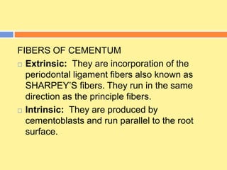 FIBERS OF CEMENTUM
 Extrinsic: They are incorporation of the
periodontal ligament fibers also known as
SHARPEY’S fibers. They run in the same
direction as the principle fibers.
 Intrinsic: They are produced by
cementoblasts and run parallel to the root
surface.
 