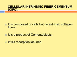 CELLULAR INTRINSINC FIBER CEMENTUM
(CIFC):
 It is composed of cells but no extrinsic collagen
fibers.
 It is a product of Cementoblasts.
 It fills resorption lacunae.
 