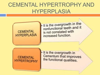 CEMENTAL HYPERTROPHY AND
HYPERPLASIA
 