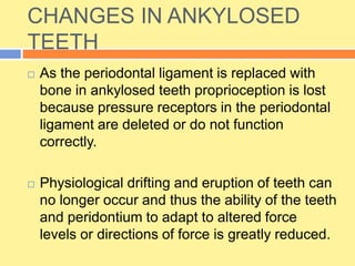 CHANGES IN ANKYLOSED
TEETH
 As the periodontal ligament is replaced with
bone in ankylosed teeth proprioception is lost
because pressure receptors in the periodontal
ligament are deleted or do not function
correctly.
 Physiological drifting and eruption of teeth can
no longer occur and thus the ability of the teeth
and peridontium to adapt to altered force
levels or directions of force is greatly reduced.
 