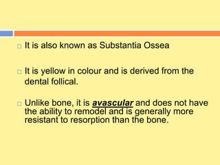  It is also known as Substantia Ossea
 It is yellow in colour and is derived from the
dental follical.
 Unlike bone, it is avascular and does not have
the ability to remodel and is generally more
resistant to resorption than the bone.
 