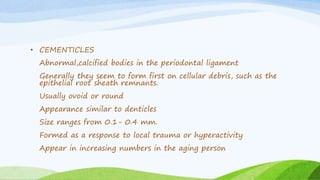 Cementum | PPTX